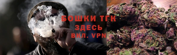 прущие грибы Волосово