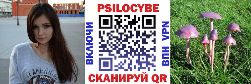 Псилоцибиновые грибы Psilocybine cubensis  купить   Вихоревка 